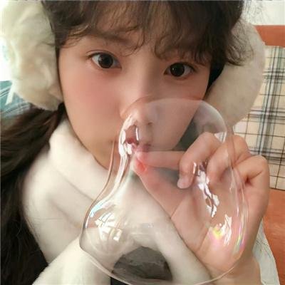 南方有乔木
